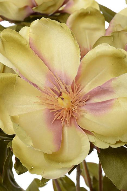 21" Silk Magnolia Bush Mauve/green