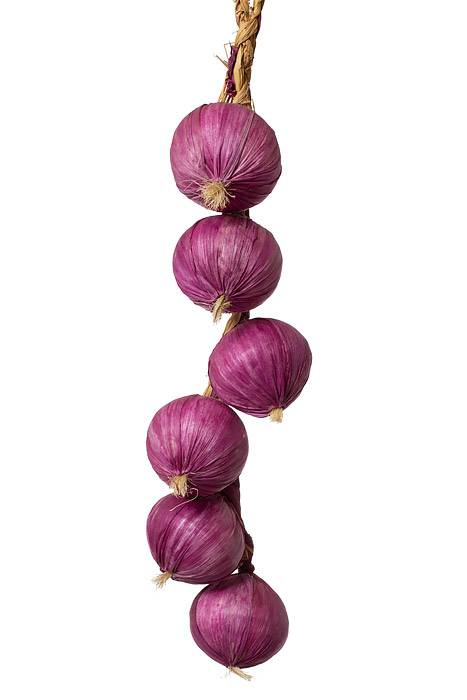 20" Onion String Purple