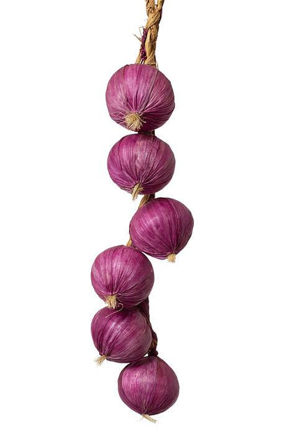 20" Onion String Purple
