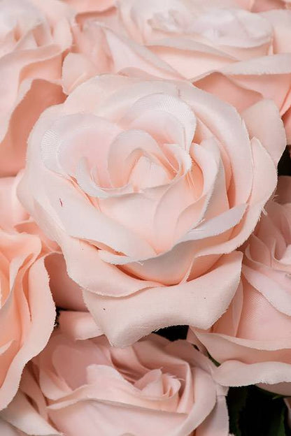 22" Silk Micro Peach Rose Bush X18 Blush Pink
