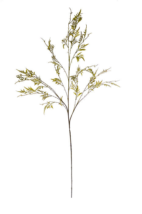 45.25" Huacatay Spray Green