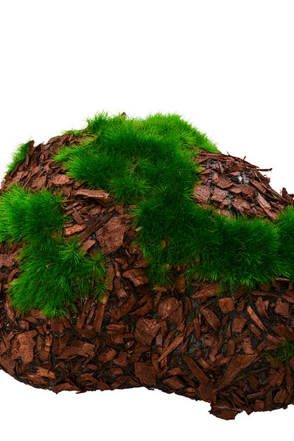 2" - 5" Moss Pieces Green Pkg/6