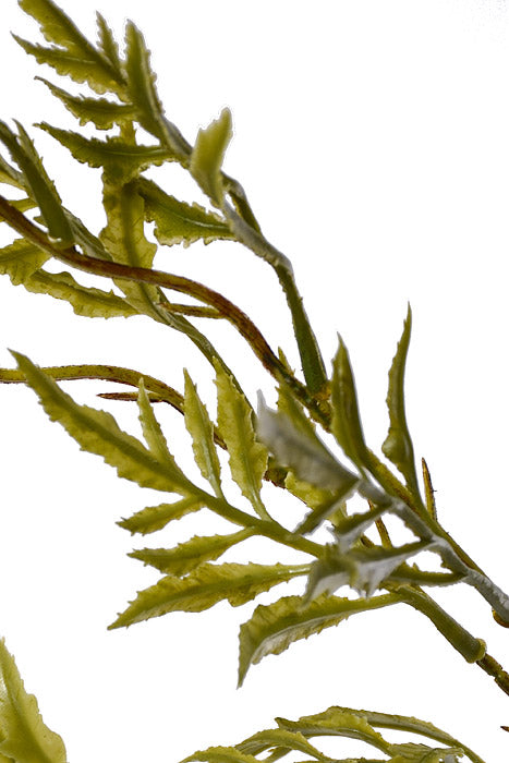 45.25" Huacatay Spray Green