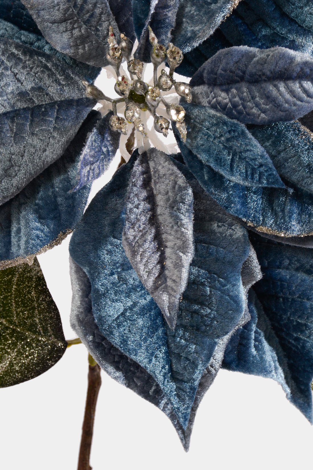 27" Poinsettia Stem Blue