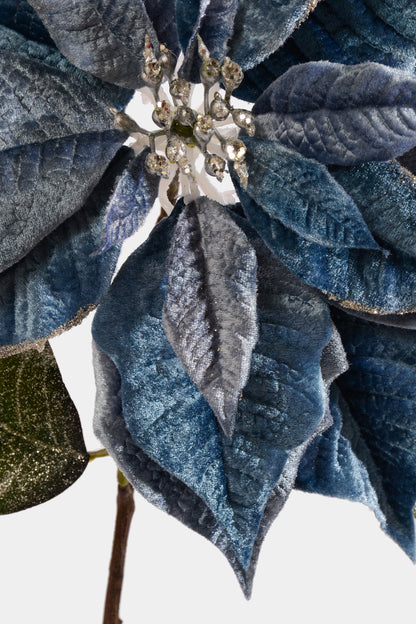 27" Poinsettia Stem Blue