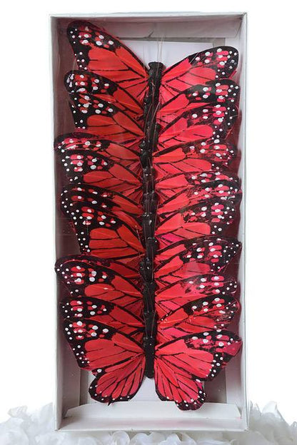 5" Butterfly Coral/red Pkg/12