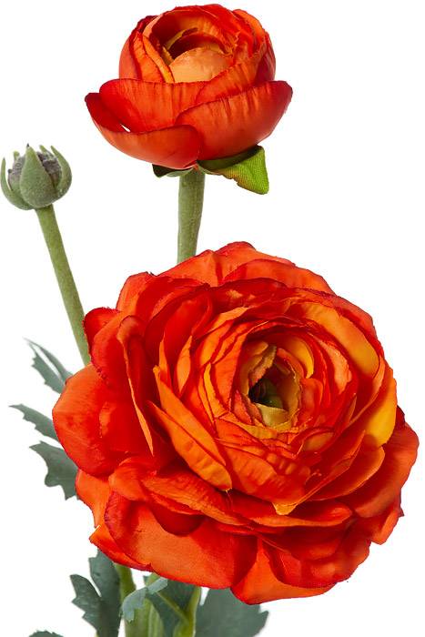 15&quot; Silk Ranuculus Spray W/bud Orange/green