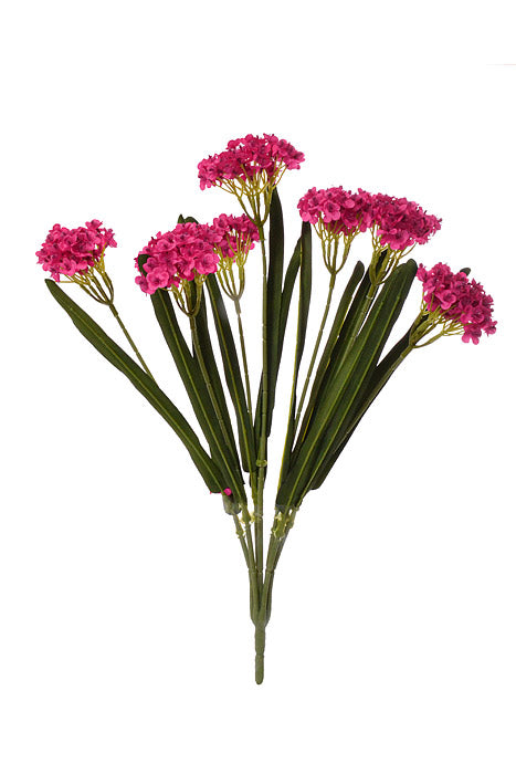 24" Silk Rose Myrtle Bush Fuchsia