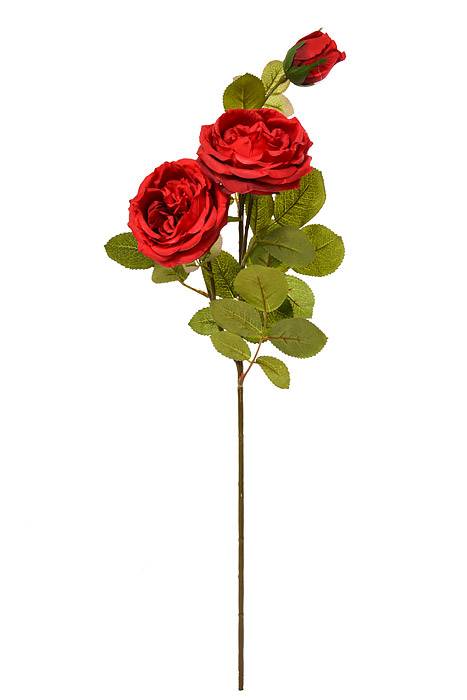 30" Silk Austin Rose Red