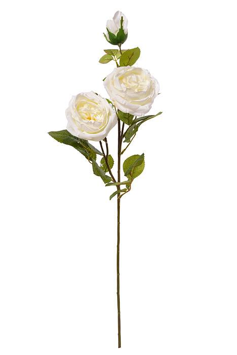 30" Silk Austin Rose White