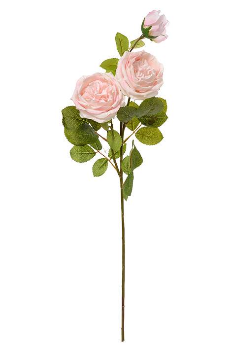 30" Silk Austin Rose Pink