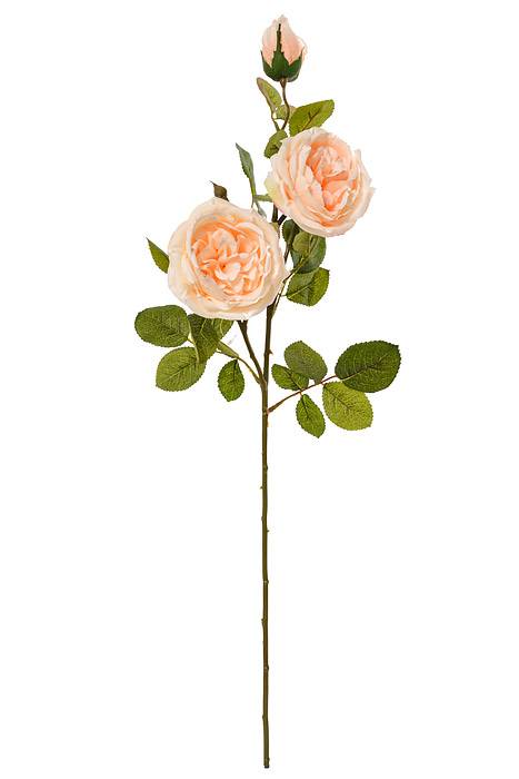 30" Silk Austin Rose Peach