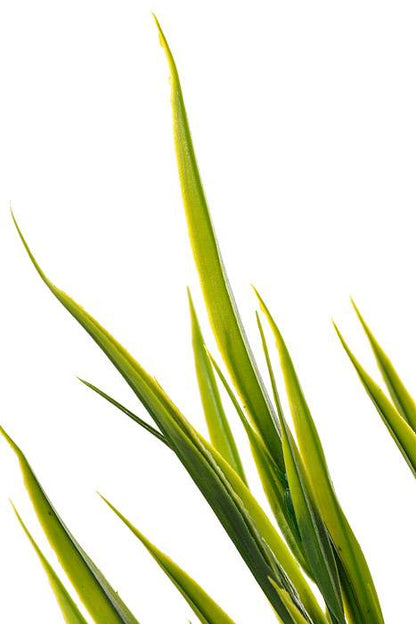 20" Plastic Grass Bush Green