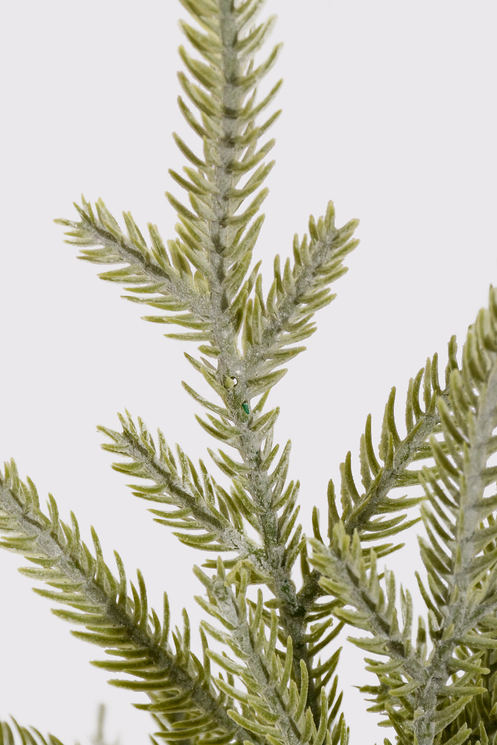 22" Norflok Pine Bush Green