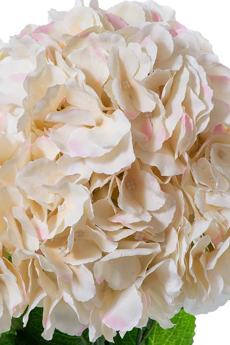 21.5" Silk Hydrangea Bush Blush Pink
