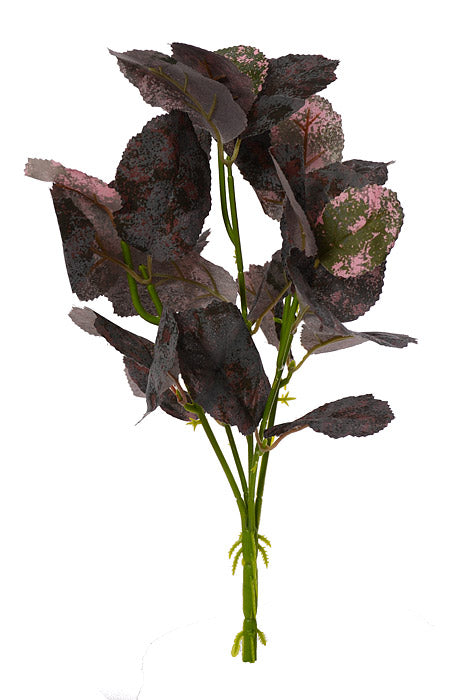 12&quot; Mulberry Leaf Bush Purple