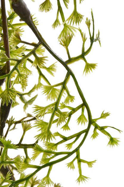 24" Maiden Hair Bush Green