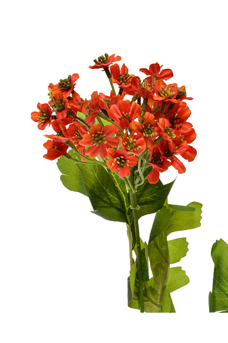 38.5" Kalanchoe Flower Spray Orange