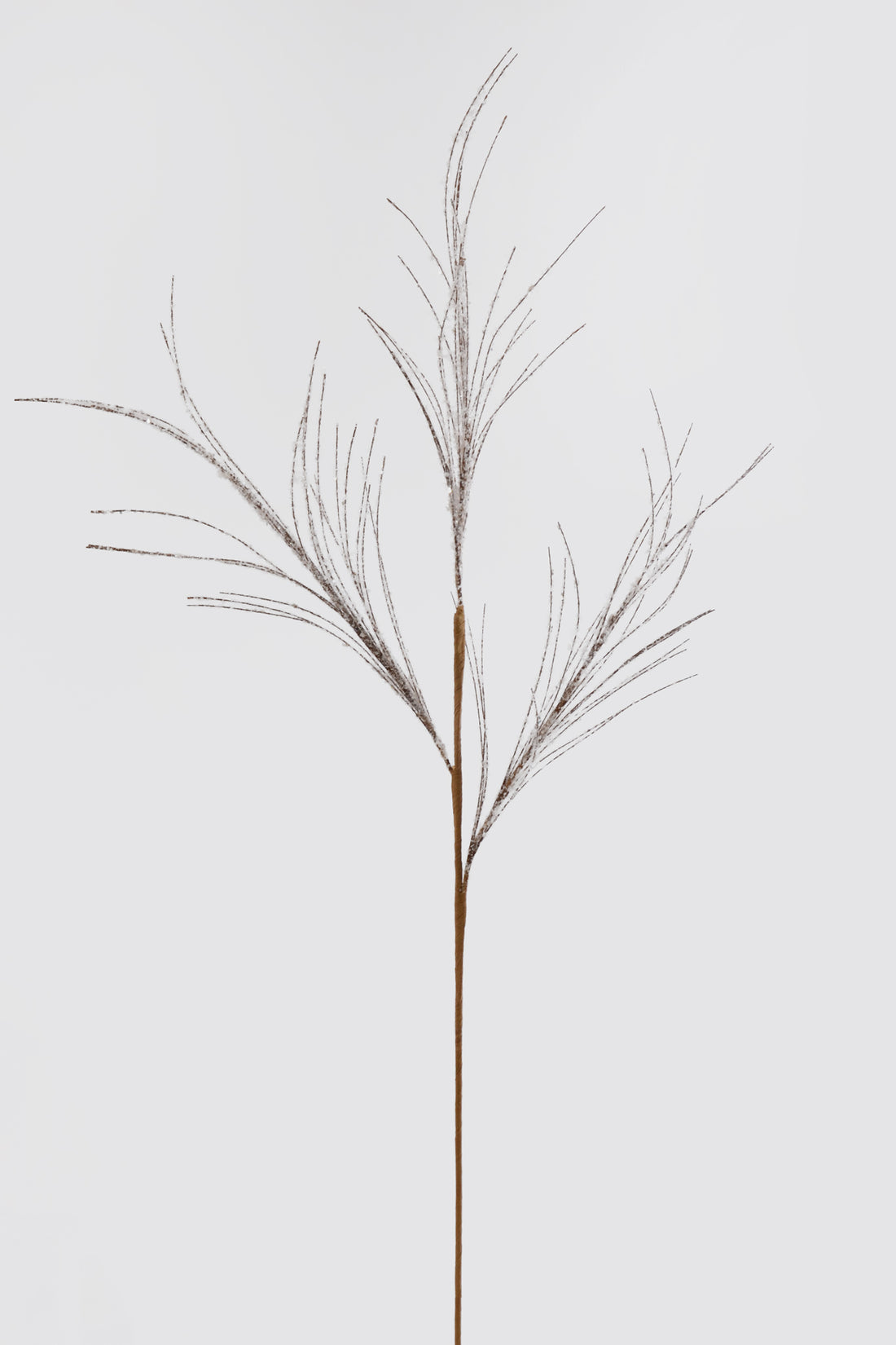 42" Wispy Pine Spray Snow Natural