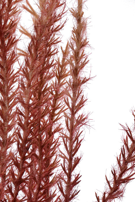 36" Artificial Reed Grass Spray Wine