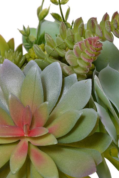 12" Succulent Bundle Green
