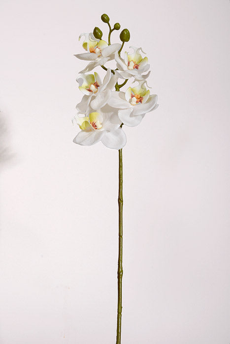 23.5" Real Touch Phalaenopsis Spray White