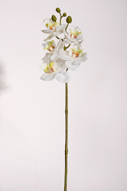23.5" Real Touch Phalaenopsis Spray White