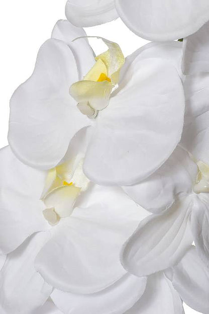 42.5" Orchid Spray White