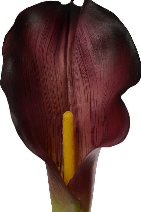 29" Calla Lily Spray Burgundy