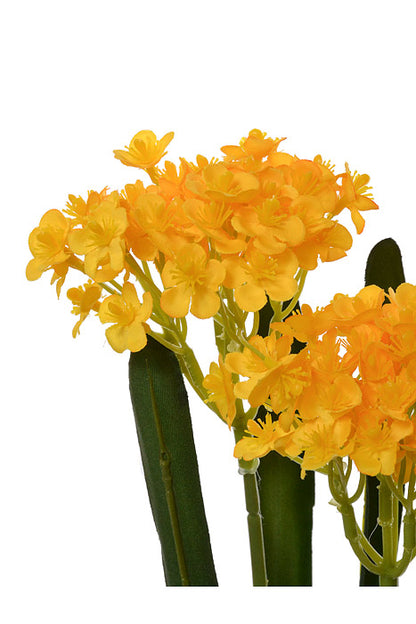 24" Silk Rose Myrtle Bush Yellow