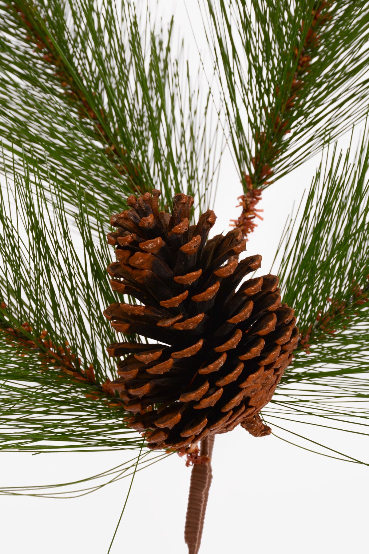 37" Pine and Pinecone Spray Green