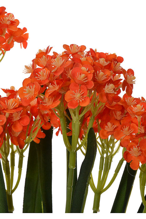 24" Silk Rose Myrtle Bush Orange