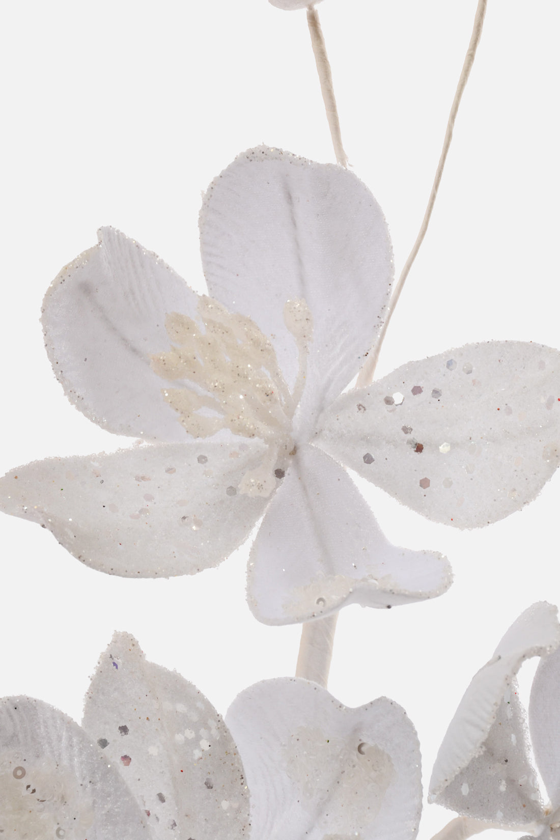 23.5" Saucer Magnolia Spray White