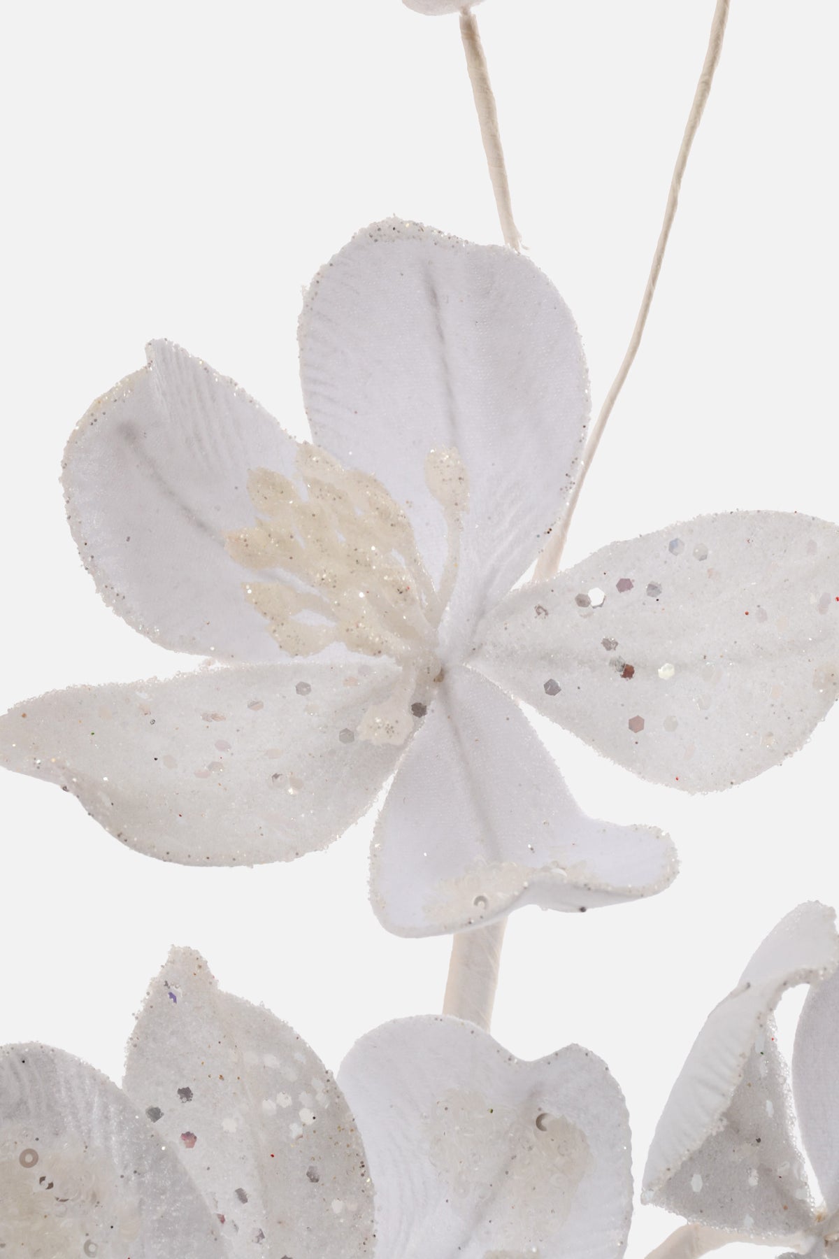 23.5" Saucer Magnolia Spray White