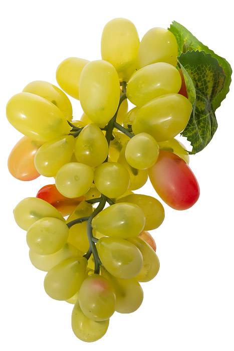 7" Round Grape Cluster Yellow