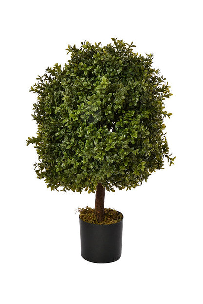 24" Boxwood Topiary Ball Green