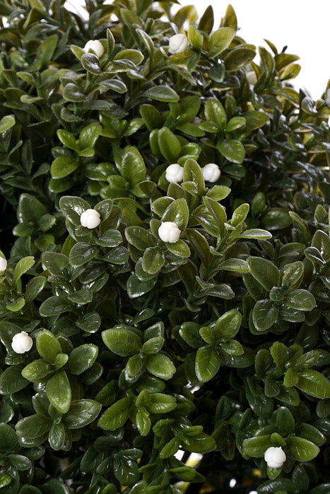 23" Boxwood Topiary Ball Green/White
