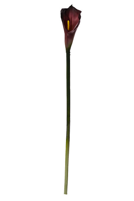 25" Calla Lily Spray Burgundy