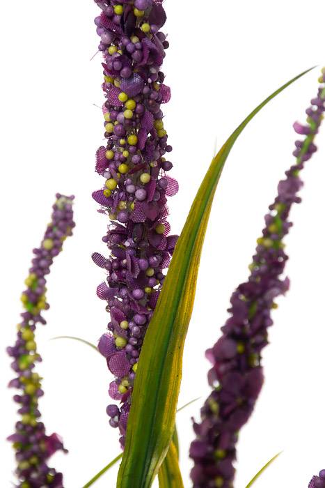 25" Foxtail Spray Purple