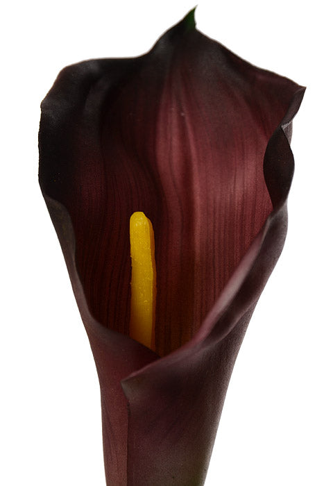 25" Calla Lily Spray Burgundy