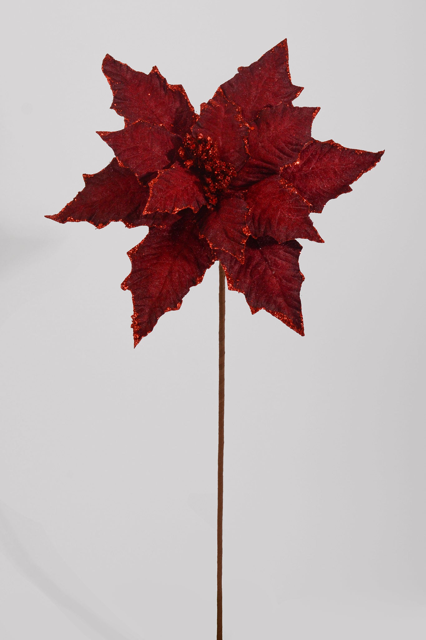 25" Glitter Edge Velvet Poinsettia Burgundy