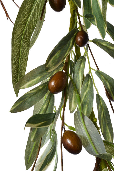 5Ft Olive Garland Green