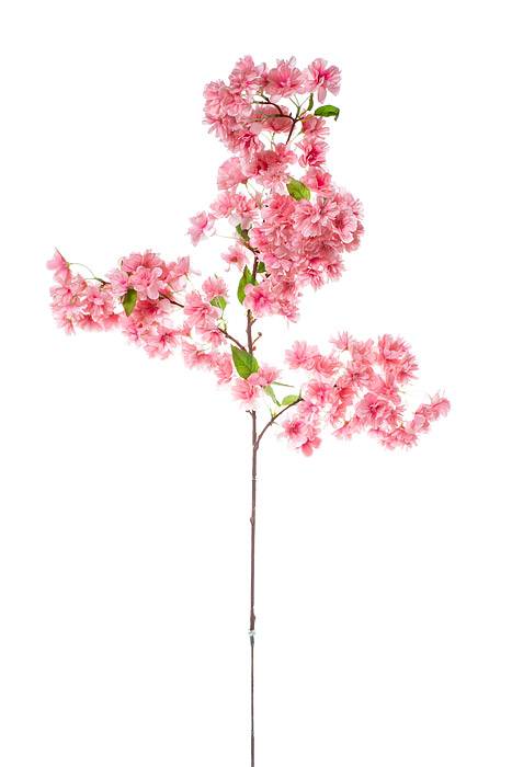 40" Silk Cherry Blossom Spray Two Tone/pink