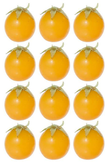 1.25" Cherry Tomato Yellow Bag