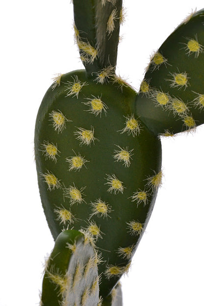 13.5" Soft Bunny Ear Cactus Green