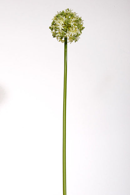 29" Artificial Allium Spray Cream