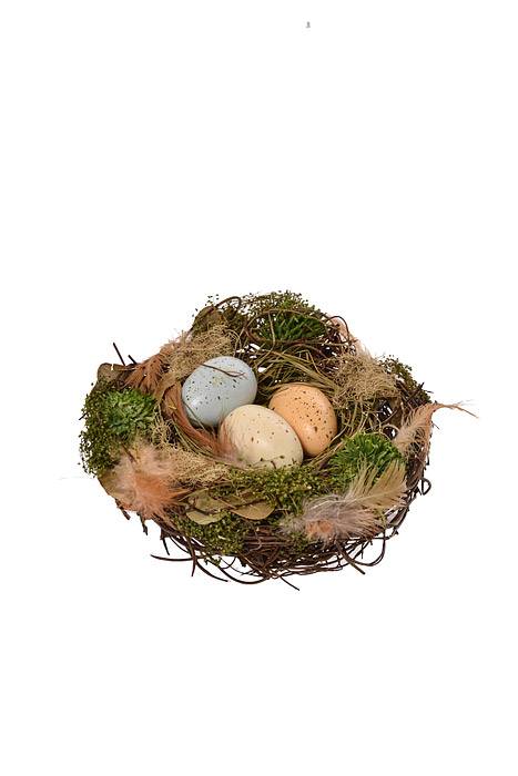 6" Aviary Bird Nest With Eggs Natural Assorted