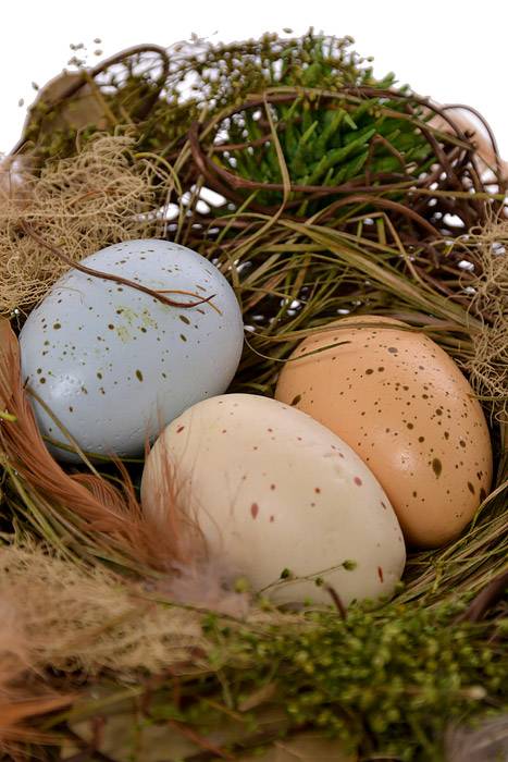 6" Aviary Bird Nest With Eggs Natural Assorted