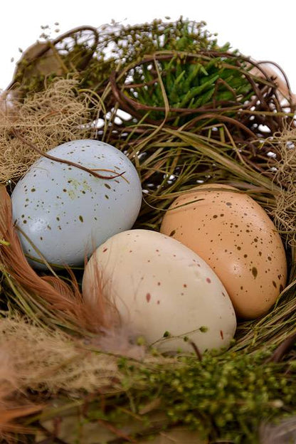6" Aviary Bird Nest With Eggs Natural Assorted