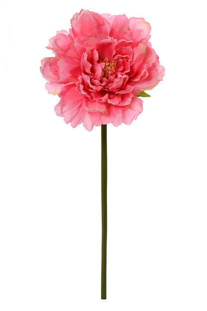 19" Silk Peony Spray Rose/Pink